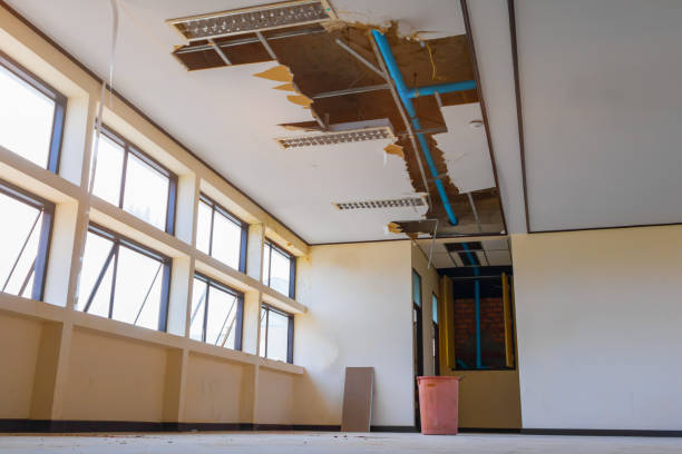 Best Ceiling water damage repair  in Meriden, CT