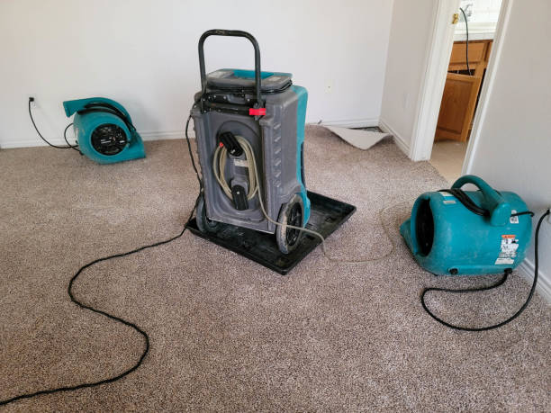 Best Mold removal after water damage  in Meriden, CT