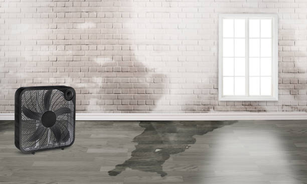 Best Residential water damage restoration  in Meriden, CT