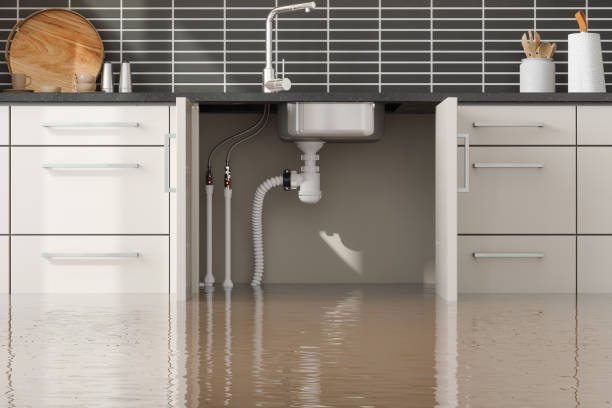 Best Mold removal after water damage  in Meriden, CT