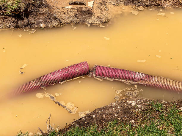 Best Residential water damage restoration  in Meriden, CT